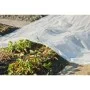 Nature Cobertor para plantas transparente 4x6 m 200µ de Nature, Accesorios de jardinería - Ref: Foro24-446381, Precio: 54,69 ...
