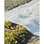 Nature Cobertor para plantas transparente 4x6 m 200µ de Nature, Accesorios de jardinería - Ref: Foro24-446381, Precio: 54,67 ...