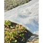 Nature Cobertor para plantas transparente 4x6 m 200µ de Nature, Accesorios de jardinería - Ref: Foro24-446381, Precio: 54,69 ...