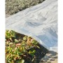 Nature Cobertor para plantas transparente 3x4 m 200µ de Nature, Accesorios de jardinería - Ref: Foro24-446380, Precio: 29,54 ...