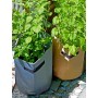 Nature Bolsa para cultivar patatas gris antracita 37 L de Nature, Jardinería - Ref: Foro24-446409, Precio: 18,84 €, Descuento: %