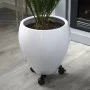 Nature Soporte para plantas con ruedas regulable 3 brazos metal negro de Nature, Soportes para macetas - Ref: Foro24-446405, ...