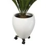 Nature Soporte para plantas con ruedas regulable 3 brazos metal negro de Nature, Soportes para macetas - Ref: Foro24-446405, ...