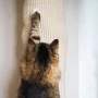 Quapas! Saco de escalada para gatos sisal 180 cm de Quapas!, Mobiliario para gatos - Ref: Foro24-446809, Precio: 69,90 €, Des...