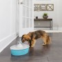 PetSafe Bebedero para mascotas Drinkwell con mariposa 1,5 L de PetSafe, Cuencos, comederos, y bebederos para mascotas - Ref: ...