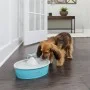 PetSafe Bebedero para mascotas Drinkwell con mariposa 1,5 L de PetSafe, Cuencos, comederos, y bebederos para mascotas - Ref: ...