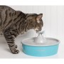 PetSafe Bebedero para mascotas Drinkwell con mariposa 1,5 L de PetSafe, Cuencos, comederos, y bebederos para mascotas - Ref: ...