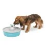 PetSafe Bebedero para mascotas Drinkwell con mariposa 1,5 L de PetSafe, Cuencos, comederos, y bebederos para mascotas - Ref: ...