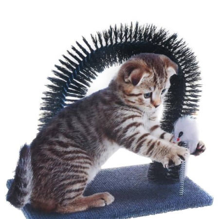 Pets Collection Juguete para gatos arco de aseo de Pets Collection, Juguetes para gatos - Ref: Foro24-441911, Precio: 19,37 €...