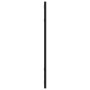 Espejo de pared rectangular de hierro negro 30x60 cm de vidaXL, Espejos - Ref: Foro24-358628, Precio: 44,03 €, Descuento: %