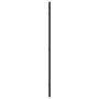Espejo de pared rectangular de hierro negro 40x80 cm de vidaXL, Espejos - Ref: Foro24-358629, Precio: 74,43 €, Descuento: %