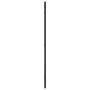 Espejo de pared rectangular de hierro negro 40x80 cm de vidaXL, Espejos - Ref: Foro24-358629, Precio: 70,02 €, Descuento: %