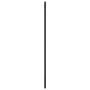 Espejo de pared rectangular de hierro negro 30x80 cm de vidaXL, Espejos - Ref: Foro24-358642, Precio: 50,24 €, Descuento: %