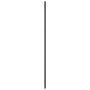 Espejo de pared rectangular de hierro negro 30x100 cm de vidaXL, Espejos - Ref: Foro24-358643, Precio: 60,33 €, Descuento: %