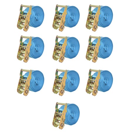 Correas de sujeción de trinquete 10 uds 2T 6mx38mm azul de vidaXL, Correas de amarre - Ref: Foro24-142655, Precio: 80,01 €, D...