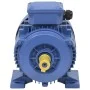 Motor eléctrico trifásico aluminio 1,5kW/2HP 2 polos 2840 RPM de vidaXL, Motores eléctricos - Ref: Foro24-148003, Precio: 152...