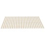 Somieres de láminas con 48 lamas 2 unidades 100x200 cm de vidaXL, Camas y somieres - Ref: Foro24-3203726, Precio: 96,45 €, De...