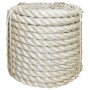 Cuerda 100% sisal 16 mm 25 m de , Sogas y cuerdas metálicas - Ref: Foro24-155034, Precio: 48,74 €, Descuento: %