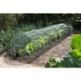 Nature Set de túnel para jardín de Nature, Accesorios de jardinería - Ref: Foro24-403681, Precio: 39,86 €, Descuento: %