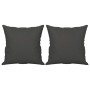 Cojines decorativos 2 uds tela microfibra gris oscuro 40x40 cm de , Cojines - Ref: Foro24-349497, Precio: 22,64 €, Descuento: %