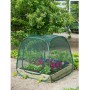 Invernadero desplegable, 100 x 100 x 100 cm, Nature 6020409 de Nature, Invernaderos - Ref: Foro24-403674, Precio: 35,05 €, De...