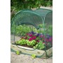 Invernadero desplegable, 100 x 100 x 100 cm, Nature 6020409 de Nature, Invernaderos - Ref: Foro24-403674, Precio: 35,05 €, De...