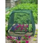 Invernadero desplegable, 100 x 100 x 100 cm, Nature 6020409 de Nature, Invernaderos - Ref: Foro24-403674, Precio: 35,05 €, De...