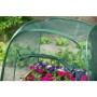 Invernadero desplegable, 100 x 100 x 100 cm, Nature 6020409 de Nature, Invernaderos - Ref: Foro24-403674, Precio: 35,05 €, De...