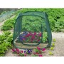 Invernadero desplegable, 100 x 100 x 100 cm, Nature 6020409 de Nature, Invernaderos - Ref: Foro24-403674, Precio: 35,05 €, De...