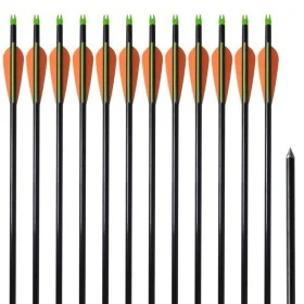 Flechas de arco 12 uds compuesto estándar de fibra de vidrio de vidaXL, Flechas y dardos - Ref: Foro24-90855, Precio: 39,16 €...