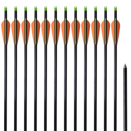 Flechas de arco 12 uds compuesto estándar de fibra de vidrio de vidaXL, Flechas y dardos - Ref: Foro24-90855, Precio: 39,89 €...