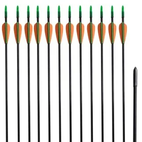 Flechas de arco compuesto estándar 30" 0,6 cm fibra de vidrio 12 pzas de vidaXL, Flechas y dardos - Ref: Foro24-90856, Precio...