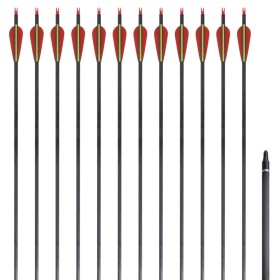 Flechas de carbono para arco recurvo estándar, 30" 0,76 cm, 12 pzas de vidaXL, Flechas y dardos - Ref: Foro24-90857, Precio: ...