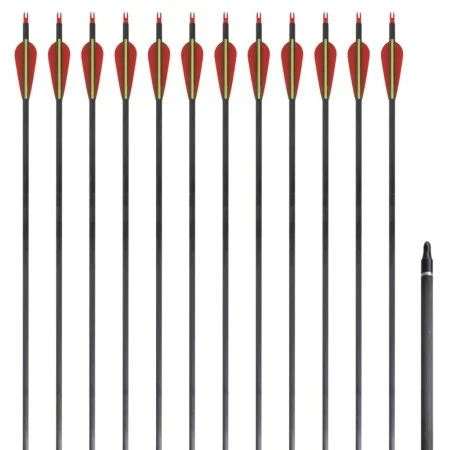Flechas de carbono para arco recurvo estándar, 30" 0,76 cm, 12 pzas de vidaXL, Flechas y dardos - Ref: Foro24-90857, Precio: ...