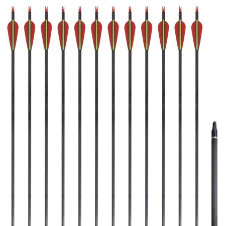 Flechas de carbono para arco recurvo estándar, 30" 0,76 cm, 12 pzas de vidaXL, Flechas y dardos - Ref: Foro24-90857, Precio: ...