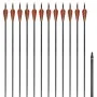Flechas de carbono para arco recurvo estándar, 30" 0,76 cm, 12 pzas de vidaXL, Flechas y dardos - Ref: Foro24-90857, Precio: ...