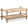 Zapatero de Bambú de Dos Niveles de vidaXL, Zapateros y organizadores de calzado - Ref: Foro24-242490, Precio: 54,95 €, Descu...