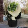 Nature Funda cubre plantas polar anti-heladas beige 60 g/m² 2x5 m de Nature, Accesorios de jardinería - Ref: Foro24-407092, P...