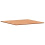 Tablero de mesa cuadrado de madera maciza de haya 90x90x1,5 cm de , Tableros para mesas - Ref: Foro24-355971, Precio: 84,47 €...