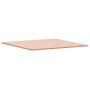 Tablero de mesa cuadrado de madera maciza de haya 90x90x1,5 cm de , Tableros para mesas - Ref: Foro24-355953, Precio: 83,03 €...