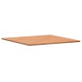 Tablero de mesa cuadrado de madera maciza de haya 80x80x1,5 cm de , Tableros para mesas - Ref: Foro24-355970, Precio: 74,74 €...