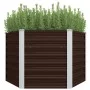 Arriate de acero galvanizado marrón 129x129x77 cm de , Maceteros y jardineras - Ref: Foro24-45721, Precio: 64,75 €, Descuento: %