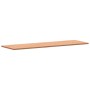 Tablero de escritorio madera maciza de haya 180x55x2,5 cm de , Tableros para mesas - Ref: Foro24-356096, Precio: 96,76 €, Des...