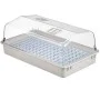 Nature Set de propagador 55x31x22 cm 6020203 de Nature, Kits para plantar flores y plantas - Ref: Foro24-409319, Precio: 72,0...