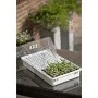 Nature Set de propagador 55x31x22 cm 6020203 de Nature, Kits para plantar flores y plantas - Ref: Foro24-409319, Precio: 72,0...