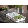 Nature Set de propagador 55x31x22 cm 6020203 de Nature, Kits para plantar flores y plantas - Ref: Foro24-409319, Precio: 74,1...