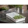 Nature Set de propagador 55x31x22 cm 6020203 de Nature, Kits para plantar flores y plantas - Ref: Foro24-409319, Precio: 72,0...