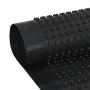 Lámina de drenaje nodular 2 unidades HDPE 400 g/m² 0,5x20 m de , Aislamiento - Ref: Foro24-144947, Precio: 74,28 €, Descuento: %