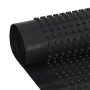Lámina de drenaje nodular 2 unidades HDPE 400 g/m² 0,5x20 m de , Aislamiento - Ref: Foro24-144947, Precio: 72,41 €, Descuento: %