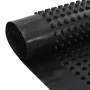 Lámina de drenaje nodular HDPE 400 g/m² 1x20 m de , Aislamiento - Ref: Foro24-144948, Precio: 114,84 €, Descuento: %